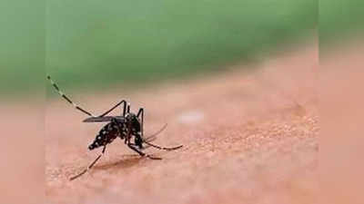 आगरा में डेंगू और वायरल बुखार से हाहाकार, 14 दिन में 30 की मौत, 149 से ज्यादा डेंगू के केस ऐक्टिव
