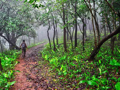 മദ്യപിച്ച് ലക്കുകെട്ട് കാണാതായ തന്നെ തിരയാൻ രക്ഷാപ്രവർത്തനത്തിൽ ഒപ്പം കൂടി മധ്യവയസ്‌കൻ