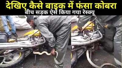 Dhanbad News: बाइक में कोबरा को देख सबके उड़े होश, फिर बीच सड़क ऐसे किया गया रेस्क्यू, देखिए VIDEO