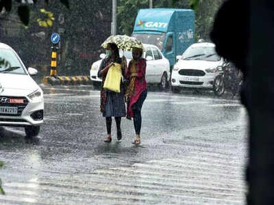 ছাতা হাতে ব্যালট যুদ্ধে শামিল ভোটাররা, জঙ্গিপুর-সামশেরগঞ্জে হালকা বৃষ্টি শুরু