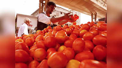 Tomato Price Rise: 35 रुपये तक पहुंची टमाटर की कीमत, हाल ही में 2 रुपये का भाव लगने के चलते किसानों ने फेंक दिया था सड़क पर!