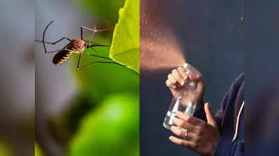 ఈ Mosquito Killing Spray తో డెంగ్యూ నుంచి దూరంగా ఉండండి