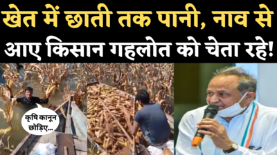 Chittorgarh Farmers Viral Video: कृषि कानूनों की बात छोड़िए...पानी में डूबे खेत से मक्का समेट रहे किसान गहलोत को चेता रहे!
