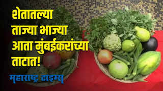 शेतकरी बाजार मुंबईकरांच्या दारात; माफक दरात मिळणार ताज्या भाज्या