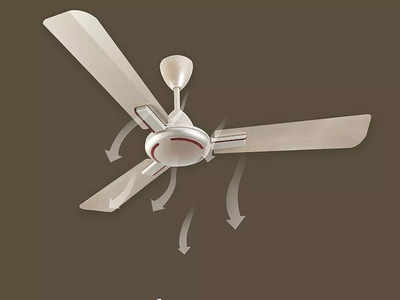 ₹3000 तक की कीमत में मिल रहे हैं ये डेकोरेटिव Ceiling Fan, रिमोट कंट्रोल फीचर भी है मौजूद