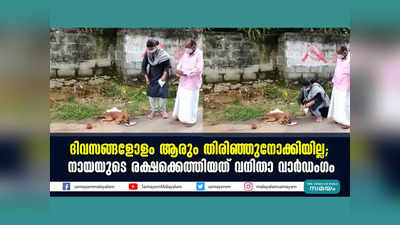 ദിവസങ്ങളോളം ആരും തിരിഞ്ഞുനോക്കിയില്ല; നായയുടെ രക്ഷക്കെത്തിയത് വനിതാ വാര്‍ഡംഗം, വീഡിയോ കാണാം