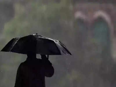 Heavy Rain In Kolhapur: कोल्हापूरलाही पावसाने झोडपले, सखल भागांत साचले पाणी