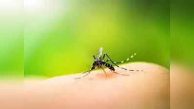 या Mosquito Killing Spray च्या स्प्रेने डेंग्यू, मलेरिया सारखे गंभीर आजार पळतील दूर