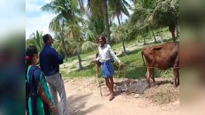 மாட்டை நான் மேய்கிறேன், நீங்க ஊசி போட்டுக்குவீங்களா - அரசு மருத்துவர் வைரல்