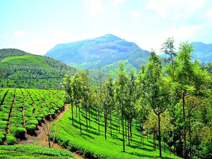 मुन्नार का टॉप स्टेशन - Top station in Munnar in Hindi