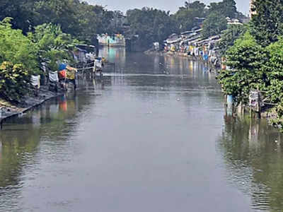 বাগজোলা খালের উপর নয়া সেতু, বরাদ্দ ২২ কোটি