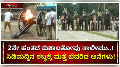 ಮೈಸೂರು ದಸರಾಗೆ ದಿನಗಣನೆ..! ಸಿಡಿಮದ್ದಿನ ಶಬ್ಧಕ್ಕೆ ಮತ್ತೆ ಬೆದರಿದ ಆನೆಗಳು