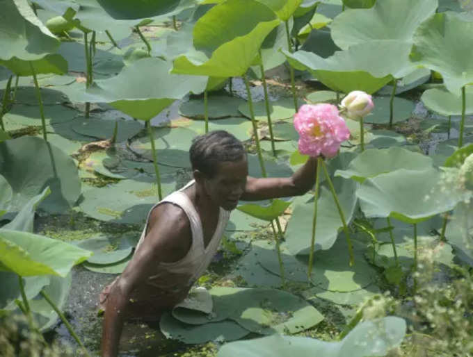 মায়ারও বিনাশ করে জাগো তুমি জাগো...