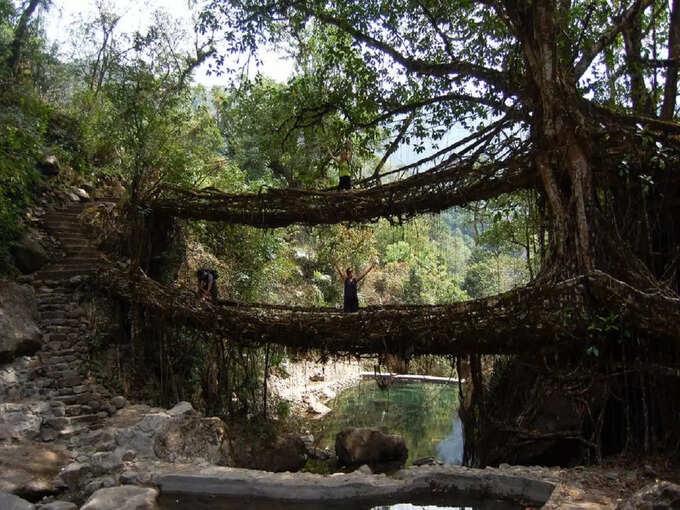 डबल डेकर लिविंग रूट ब्रिज, चेरापूंजी - Double Decker Living Root Bridge, Cherrapunji