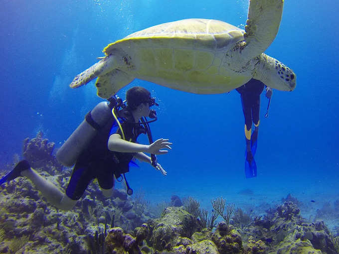 मॉरीशस में पानी के नीचे चले - Underwater Activity in Mauritius