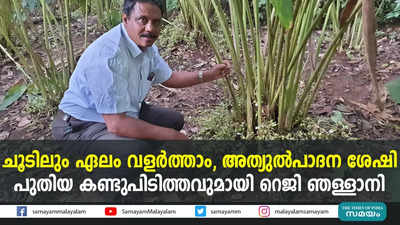 ചൂടിലും വളര്‍ത്താം; പുതിയ ഏലവുമായി റെജി ഞള്ളാനി