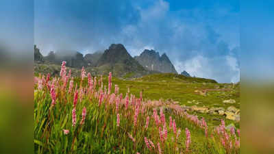 Valley of Flowers: क्‍या आप जानते हैं उत्तराखंड की इस खूबसूरत घाटी के बारे में? ये हैं रोचक तथ्‍य