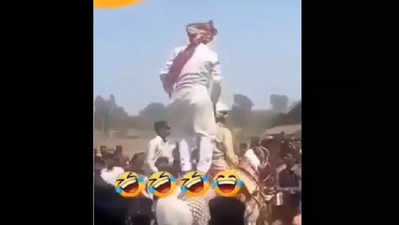 Funny Viral Video: ಕುದುರೆ ಮೇಲೇರಿ ಡಾನ್ಸ್‌ ಮಾಡಲು ಹೋಗಿ ವರನನ್ನೇ ಬೀಳಿಸಿದ ಸ್ನೇಹಿತ!