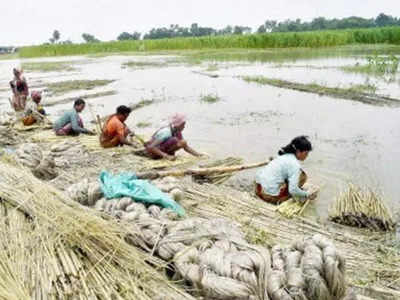 পাটের বস্তা অমিল, প্লাস্টিক বস্তা কিনছে রাজ্যও