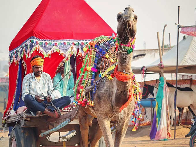 पुष्कर ऊंट मेला - Pushkar Camel Fair in Hindi