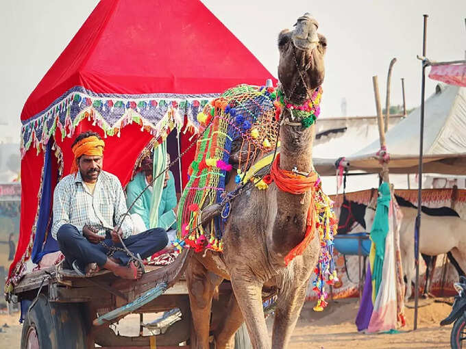 पुष्कर ऊंट मेला - Pushkar Camel Fair in Hindi