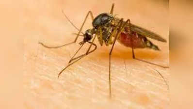 Dengue break in Agra:आगरा में बुखार ढा रहा है सितम, 60 से अधिक मौतें, अब तक 227 डेंगू के पेशेंट