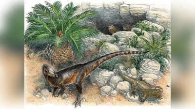 क्या चिकन के आकार के थे सबसे पुराने मांसाहारी डायनासोर ? नए जीवाश्म ने बदल दिया इतिहास!