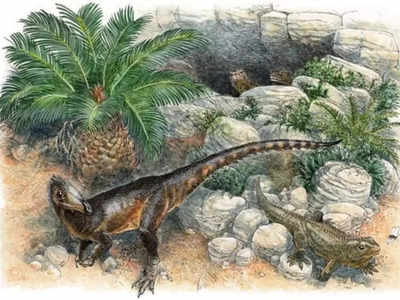 क्या चिकन के आकार के थे सबसे पुराने मांसाहारी डायनासोर ? नए जीवाश्म ने बदल दिया इतिहास!
