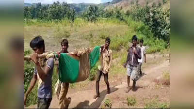 MP News: गर्भवती को लकड़ी में कपड़ा बांधकर 5 किमी तक लादकर ले गए ग्रामीण, गांव तक नहीं पहुंचती एंबुलेंस क्योंकि सड़क नहीं है