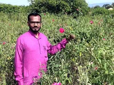 Chitrakoot news: पारंपरिक खेती छोड़ फूल उगा रहे चित्रकूट के किसान, पीएम मोदी के आत्‍मनिर्भरता के सपने को कर रहे साकार