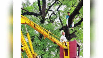 नागरी सुविधांसाठी झाडावर चढून आंदोलन