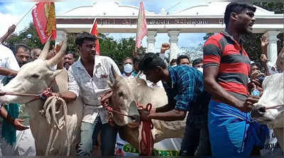 மதுரை குடிநீருக்கு முல்லைப் பெரியாற்றில் கை வைக்காதே: சோறு போடும் விவசாயிகள் போர்க்கொடி!