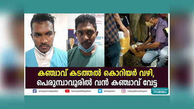 കഞ്ചാവ് കടത്തൽ കൊറിയർ വഴി, പെരുമ്പാവൂരില്‍ വന്‍ കഞ്ചാവ് വേട്ട, വീഡിയോ കാണാം