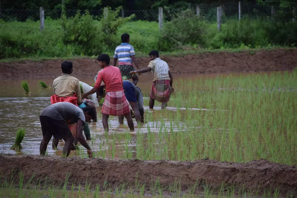 Farmers Thrissur