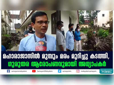 മഹാരാജാസിൽ മുമ്പും മരം മുറിച്ചു കടത്തി,  ഗുരുതര ആരോപണവുമായി അധ്യാപകർ