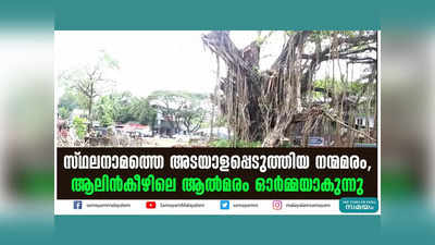 സ്ഥ​ല​നാ​മ​ത്തെ അ​ട​യാ​ള​പ്പെ​ടു​ത്തി​യ ന​ന്മ​മ​രം, ആലിൻകീഴിലെ ആൽമരം ഓർമ്മയാകുന്നു, വീഡിയോ കാണാം