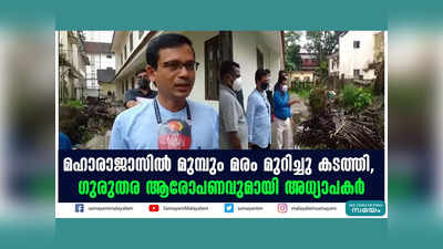 മഹാരാജാസിൽ മുമ്പും മരം മുറിച്ചു കടത്തി, ഗുരുതര ആരോപണവുമായി അധ്യാപകർ, വീഡിയോ കാണാം