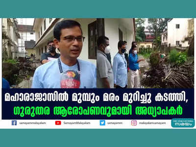 മഹാരാജാസിൽ മുമ്പും മരം മുറിച്ചു കടത്തി, ഗുരുതര ആരോപണവുമായി അധ്യാപകർ, വീഡിയോ കാണാം