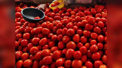 Tomato Price Rise: सड़क पर फेंका था 4 रुपये किलो का टमाटर, जानिए किस वजह से आज 72 रुपये तक जा पहुंची है कीमत!
