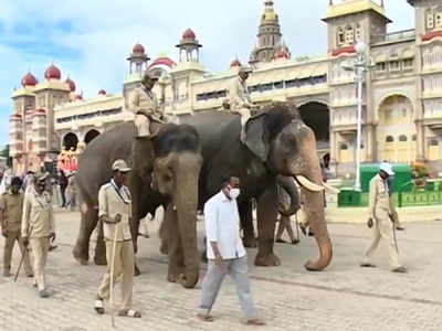 Mysuru Dasara 2021: ಜಂಬೂಸವಾರಿ ತಾಲೀಮು ಸಕ್ಸಸ್: ಅರಮನೆ ಸುತ್ತ ಖಾಕಿ ಕಣ್ಗಾವಲು