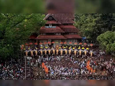 പൂരംവെടിക്കെട്ട്: പിടിച്ചെടുത്ത അമിട്ടില്‍ രാസപരിശോധന നടത്താന്‍ ഉത്തരവ്