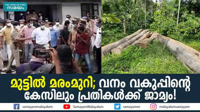 മുട്ടില്‍ മരംമുറി കേസിൽ പ്രതികള്‍ക്ക് വീണ്ടും ജാമ്യം!