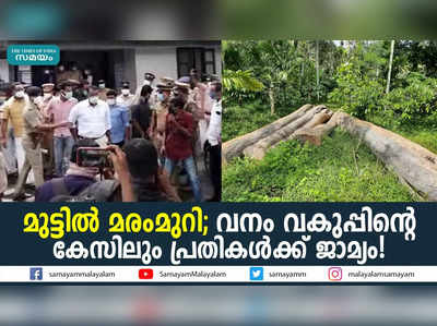 മുട്ടില്‍ മരംമുറി കേസിൽ പ്രതികള്‍ക്ക് വീണ്ടും ജാമ്യം!