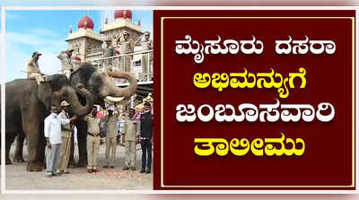 ಮೈಸೂರು ದಸರಾ: ಆನೆಗಳಿಗೆ ಅಂತಿಮ ಹಂತದ ಜಂಬೂಸವಾರಿ ತಾಲೀಮು. ಅಭಿಮನ್ಯು ಭಾಗಿ