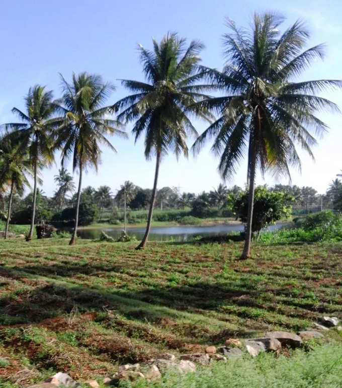 ​ತೊಣ್ಣೂರು ಸರೋವರ