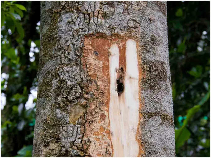 സ്വര്‍ണത്തേക്കാൾ മൂല്യം