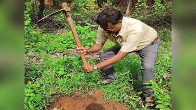 पर्यावरण के पहरुआः वीरान कॉलेज में प्रिंसिपल ने बिछा दी हरियाली, 7 साल में रोप दिए 1100 से ज्यादा पौधे