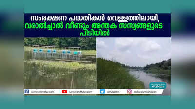 സംരക്ഷണ പദ്ധതികൾ വെള്ളത്തിലായി, വരാൽച്ചാൽ വീണ്ടും അന്തക സസ്യങ്ങളുടെ പിടിയിൽ, വീഡിയോ കാണാം