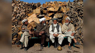 Taliban News: अफगानिस्तान में लकड़ी काटते या बेचते पकड़े गए तो खैर नहीं, तालिबान ने लगाया प्रतिबंध