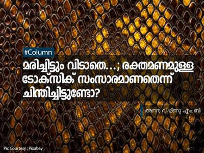 മരിച്ചിട്ടും വിടാതെ...; അത് രക്തമണമുള്ള ടോക്സിക് സംസാരം! ഒരിക്കലെങ്കിലും ചിന്തിച്ചിട്ടുണ്ടോ?